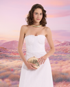 h1.webp